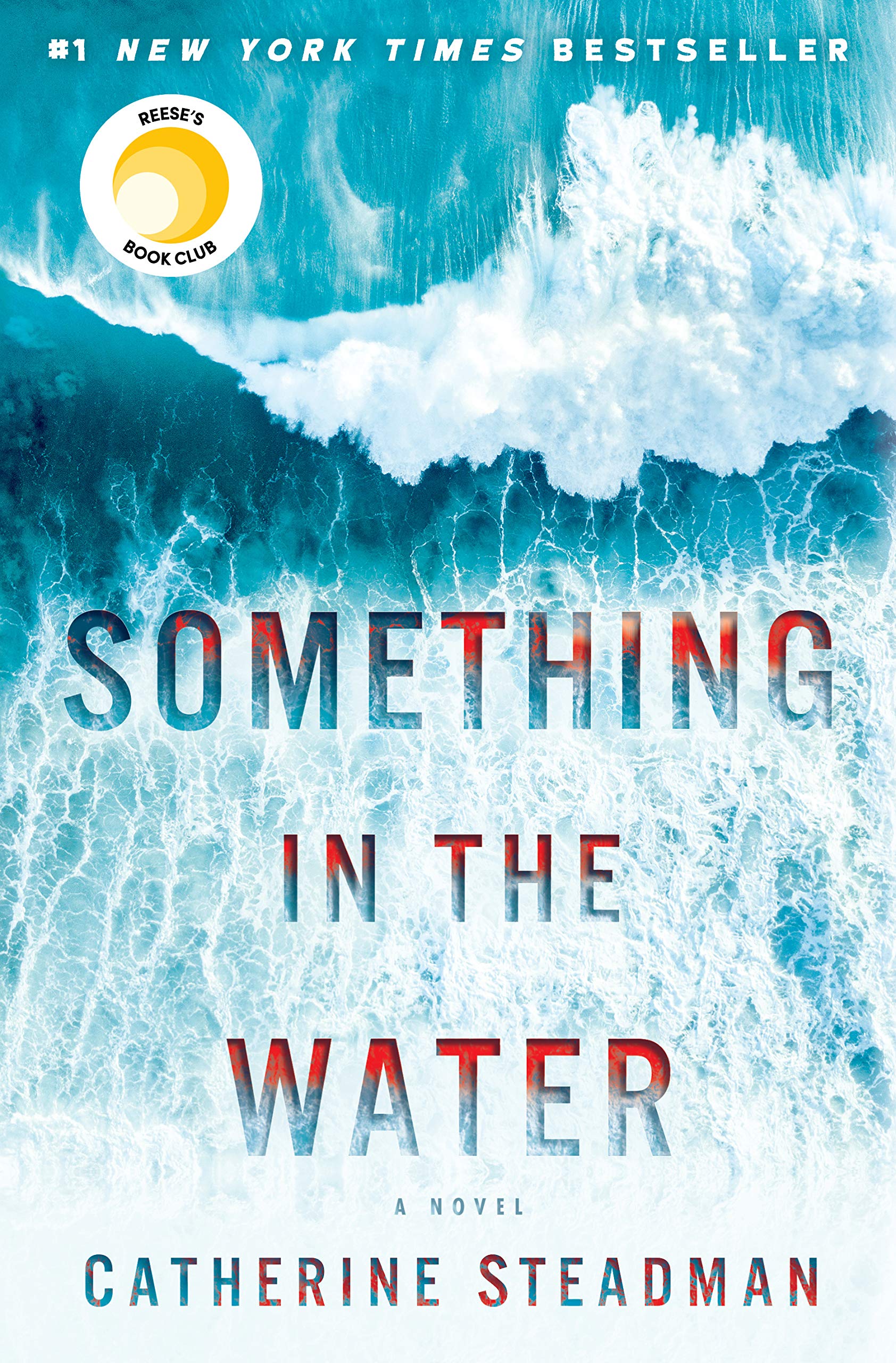 Book cover that is an aerial shot of a blue wave with text Something in the Water