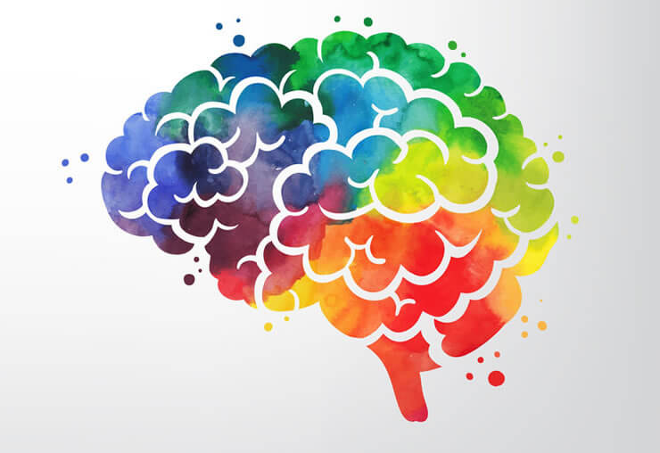 A rainbow colored brain