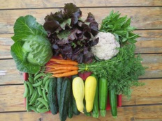 An assortment of fresh produce sits on a wooden table