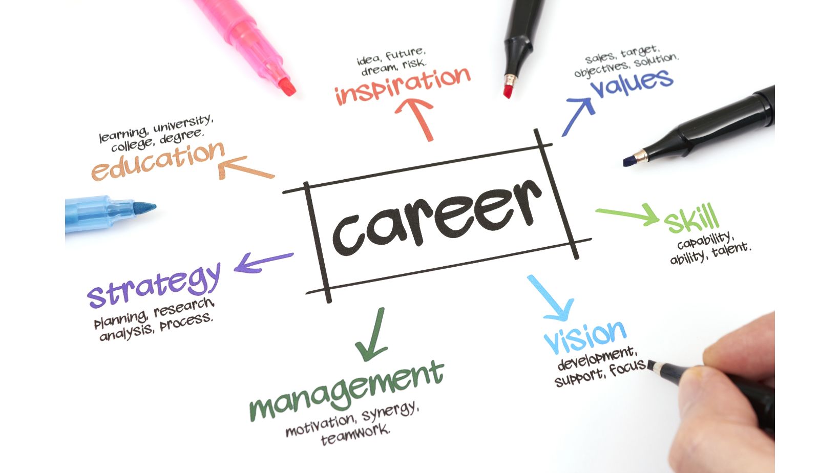 career sketch